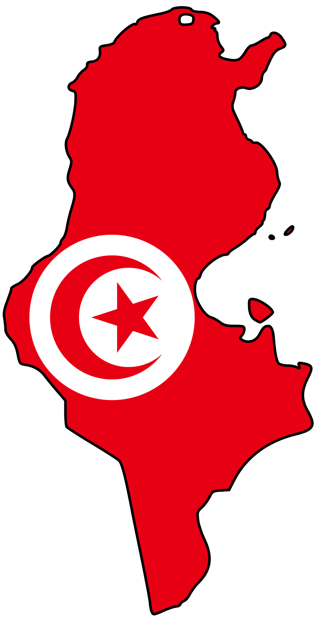 POURQUOI LA TUNISIE?